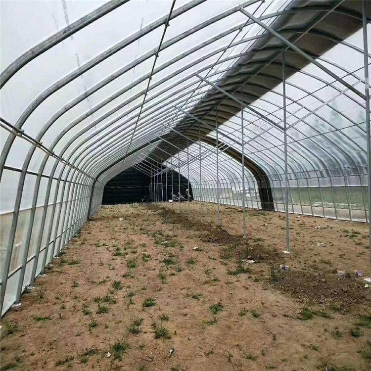 日光溫室與蔬菜大棚 從設(shè)計(jì)到建造的全方位解析