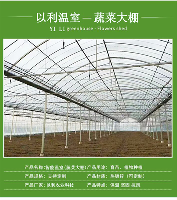 以利農(nóng)業(yè) 專業(yè)化設(shè)計(jì)與一站式服務(wù)，打造高效智能的花卉養(yǎng)殖大棚與連棟玻璃溫室